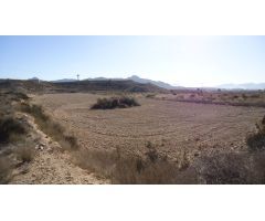 Finca rustica en Venta en Abanillas, Murcia