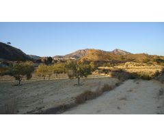 Finca rustica en Venta en Abanillas, Murcia