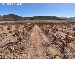 Finca rustica en Venta en Jumilla, Murcia
