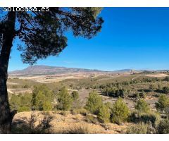 Finca rustica en Venta en Jumilla, Murcia