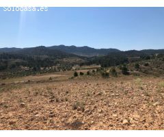 Finca rustica en Venta en Jumilla, Murcia