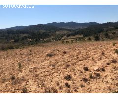 Finca rustica en Venta en Jumilla, Murcia
