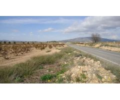 Finca rustica en Venta en Pinós, el/Pinoso, Alicante