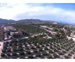 Finca rustica en Venta en Redován, Alicante