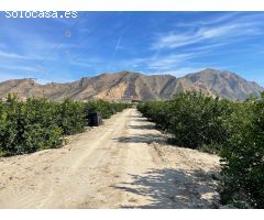 Finca rustica en Venta en Redován, Alicante
