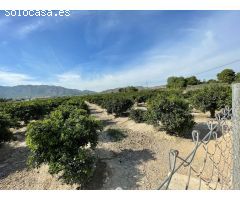 Finca rustica en Venta en Redován, Alicante