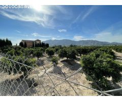 Finca rustica en Venta en Redován, Alicante