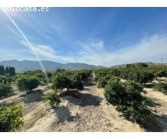 Finca rustica en Venta en Redován, Alicante
