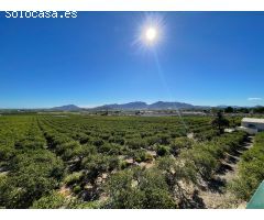 Finca rustica en Venta en Castrillo de Murcia, Murcia