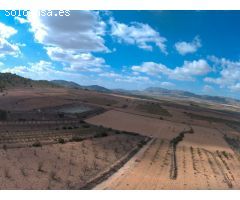 Finca rustica en Venta en Yecla, Murcia