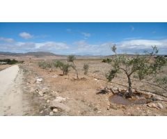 Finca rustica en Venta en Yecla, Murcia