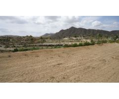 Finca rustica en Venta en Abanillas, Murcia