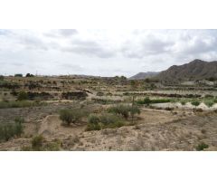 Finca rustica en Venta en Abanillas, Murcia