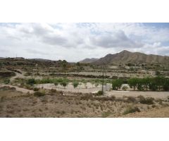 Finca rustica en Venta en Abanillas, Murcia