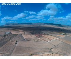 Finca rustica en Venta en Yecla, Murcia