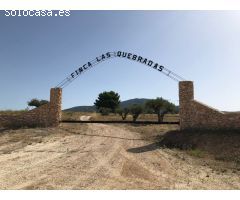 Finca rustica en Venta en Yecla, Murcia