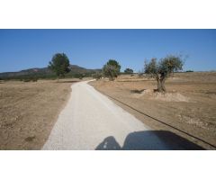 Finca rustica en Venta en Yecla, Murcia