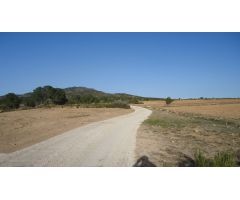 Finca rustica en Venta en Yecla, Murcia