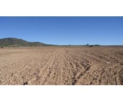 Finca rustica en Venta en Yecla, Murcia