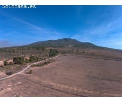 Finca rustica en Venta en Yecla, Murcia