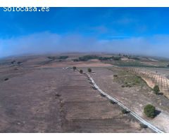 Finca rustica en Venta en Yecla, Murcia