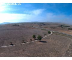 Finca rustica en Venta en Yecla, Murcia