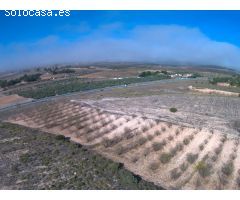 Finca rustica en Venta en Yecla, Murcia