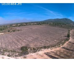 Finca rustica en Venta en Yecla, Murcia