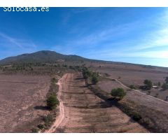 Finca rustica en Venta en Yecla, Murcia