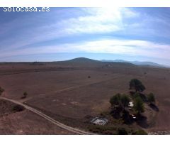 Finca rustica en Venta en Yecla, Murcia