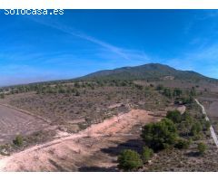 Finca rustica en Venta en Yecla, Murcia