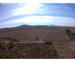 Finca rustica en Venta en Yecla, Murcia