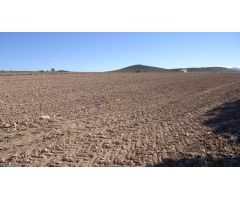 Finca rustica en Venta en Yecla, Murcia