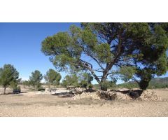 Finca rustica en Venta en Yecla, Murcia