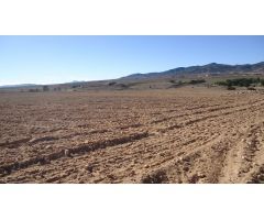 Finca rustica en Venta en Yecla, Murcia