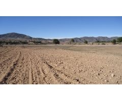 Finca rustica en Venta en Yecla, Murcia