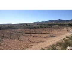 Finca rustica en Venta en Yecla, Murcia