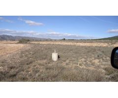 Finca rustica en Venta en Yecla, Murcia