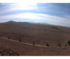 Finca rustica en Venta en Yecla, Murcia