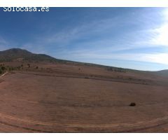 Finca rustica en Venta en Yecla, Murcia