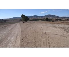 Finca rustica en Venta en Yecla, Murcia