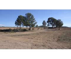 Finca rustica en Venta en Yecla, Murcia