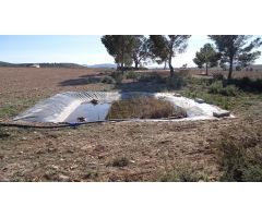 Finca rustica en Venta en Yecla, Murcia