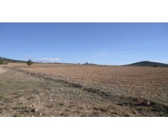 Finca rustica en Venta en Yecla, Murcia