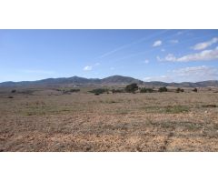Finca rustica en Venta en Yecla, Murcia