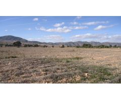 Finca rustica en Venta en Yecla, Murcia