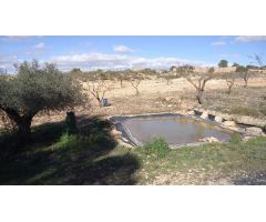 Finca rustica en Venta en Yecla, Murcia