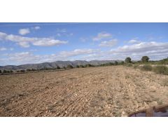Finca rustica en Venta en Yecla, Murcia