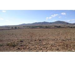 Finca rustica en Venta en Yecla, Murcia