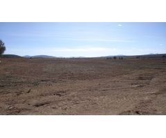 Finca rustica en Venta en Yecla, Murcia